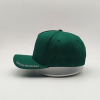 Gorra Snapback OEM A-Frame con logo bordado en la corona, verde, 100% algodón twill, personalizada, de 5 paneles, con visera curva, al por mayor