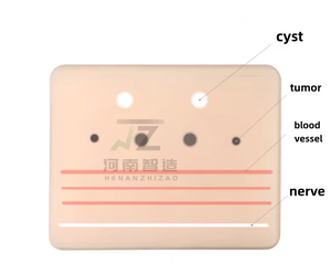 Nuovo Modello di Simulazione per Puntura ad Ultrasuoni Zhizao, Modello Completo per Formazione su Tumori Vascolari e Cisti Nervose - Product Image 6