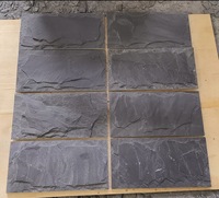 Revêtement mural décoratif en ardoise noire, pierre de culture, carreaux naturels, carreaux d'extérieur, carreaux d'extérieur pour appartement, champignon