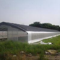 24m Grande maison de culture de plain-pied à une couche Couverture hydroponique stable en PE Banc roulant Serre polytunnel Cadre en acier Toit arqué