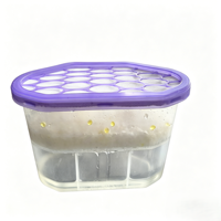 Boîte de déshumidification domestique OEM parfumée, absorption d'humidité, anti-moisissure pour salle de bain et placard