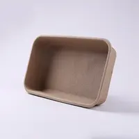 Biodegradable Cat Litter Box Rectangle