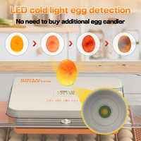 HHD WONEGG Nouvelle couveuse à œufs mini 56H entièrement automatique, compatible AC/DC