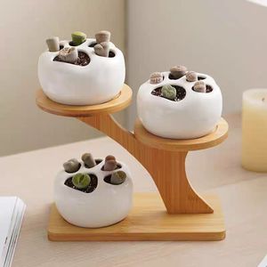 Estante de Exhibición de Bonsáis de Tres Niveles, Estilo Retro, Fácil de Montar, Diseño Desmontable, Soporte para Macetas de Plantas Verdes y Flores, Tipo Vertical - Product Image 6
