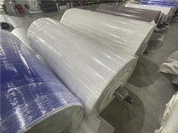Banda Transportadora Vertical de Plástico Móvil para Maquinaria de Empaquetado, Bandas Transportadoras de PVC