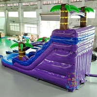 Toboggan aquatique gonflable de qualité commerciale Tropical Waves avec certification CE, capacité de 500 à 1000 kg, installation facile