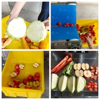 Automatische watermeloen- en cantaloupe-halveermachine van roestvrij staal