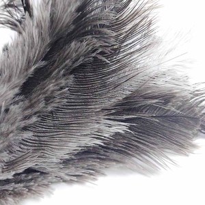 نعام أصلي ESD مع مقبض خشبي لتنظيف الفن الطري قابل للغسل ، - Product Image 5