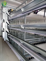 Nouveau système de cages automatiques pour poules pondeuses de type H, galvanisé à chaud, capacité 50 000 oiseaux, personnalisé, avec contrôle environnemental