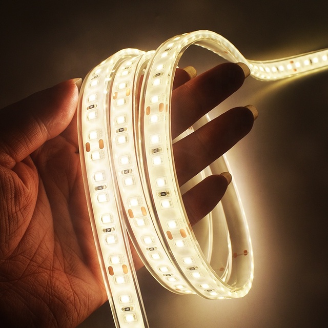 Led Garden Light Outdoor Waterproof IP68 Speedboat Cargo Ship SMD2835 10M Long Run LED Strip Lights