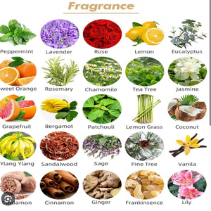 100%ピュアコールドプレスダマスカスローズボディオイル、環境に優しい肌活性化保湿剤、天然成分、化粧品グレード - Product Image 6