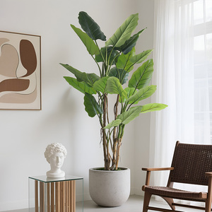Albero Artificiale di Philodendron Erubescens in Plastica Verde Smeraldo, Leggero e di Alta Qualità, dall'Aspetto Naturale che Aggiunge Bellezza - Product Image 5