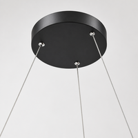 Lustre suspendu en acier à cercle central, 20W 40W 60W, luminaire LED linéaire rond