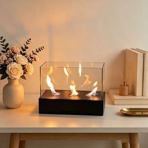 <span class=keywords><strong>Mejor</strong></span> Mini Chimenea de <span class=keywords><strong>Bioetanol</strong></span> Manual Personalizada OEM, Inserto Metálico para Mesa, Uso Interior, Calentadores de Llama Real para Sala de Estar - Product Image 2
