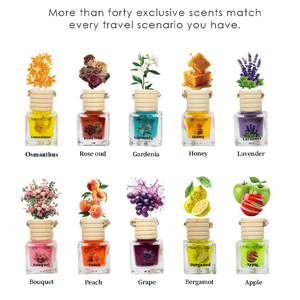 Vente en gros de diffuseur d'huile de parfum suspendu pour désodorisant de voiture de 8ml Diffuseur d'huiles essentielles de longue durée Aromathérapie automobile - Product Image 6