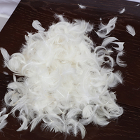 Haute température nettoyée en duvet et plumes de canard, d'oie, gris et blanc, lot de 10