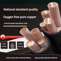 Cable de Alimentación Industrial de Bajo Voltaje con Aislamiento de PVC, Estándar Nacional Premium, YJV WDZ YJY, Núcleo de Cobre, 4 Núcleos, 50-185 mm²