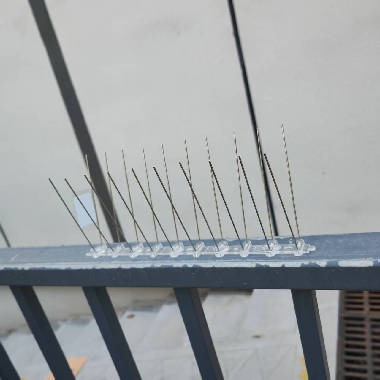 Wholesale Customized Stainless Steel Bird Spike Plastic Anti Bird Spikes for Pest Control