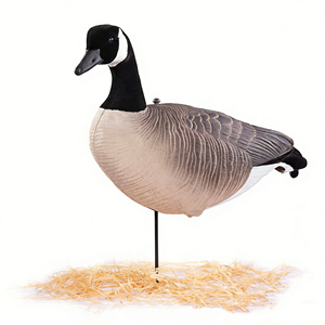 Décoy de canard canadien sur piquet, grandeur nature 1:1, motif tête noire et joues blanches, ornement de jardin, appât de chasse extérieur - Product Image 6