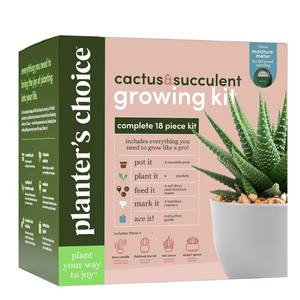 Capteur NPK numérique en gros d'usine pour la culture de succulentes de <span class=keywords><strong>cactus</strong></span> meilleur Kit de testeur de PH humidimètre pour pots de fleurs jardinières - Product Image 6