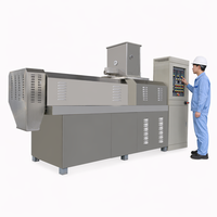 Ligne de production industrielle automatique de machine à fabriquer des miettes de pain, extrudeuse haute capacité avec pompe pour boulangerie (380V)