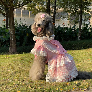 Vestido de Princesa Color Rosa Caramelo para <span class=keywords><strong>Perros</strong></span> Medianos/Grandes, Modelo 6546, para Todas las Estaciones, Marca Big Dog, para Golden Retriever y Labrador - Product Image 5