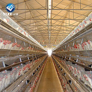 La migliore vendita mangiatoie automatiche layer galline batteria allevamento di polli posa gabbia per uccelli per attrezzature per l'allevamento di animali a strati - Product Image 5