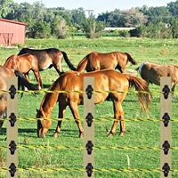 Australische boerderij-elektrische afrasteringsdraad met verzinkt koper voor betrouwbare prestaties over lange afstanden