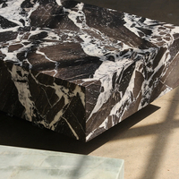 Table basse rectangulaire Cammy Stone Noir Grand Antique en marbre, socle bas, multifonctionnelle, mobilier de salon de luxe