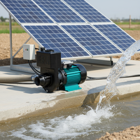 Pompe à eau solaire photovoltaïque centrifuge de surface auto-amorçante haute puissance grand débit avec garantie 1 an