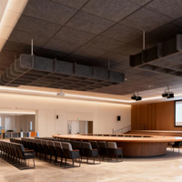 Panneau acoustique suspendu en feutre absorbant insonorisant décoratif pour hôtel moderne 100% polyester