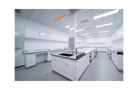 Banc de laboratoire hospitalier en métal sur mesure, résistant aux acides et aux alcalis, fonction de ventilation, disposition personnalisée, directement de l'usine, conforme aux normes internationales