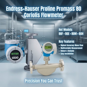 เครื่องวัดการไหลแบบโคริโอลิส Endress Hauser Promass 80 รุ่น Promass F 300 500 และ Promag 10 50 เครื่องวัดการไหลแบบมวล - Product Image 4