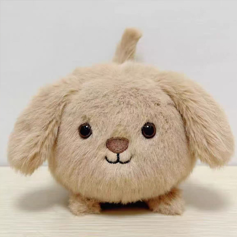 Cappuccino puppy