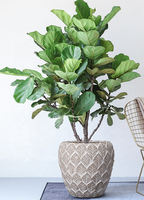 Rond grand moderne en fibre de verre planteur en relief feuille forme arbre Pot intérieur extérieur Fiber Pots de fleurs en gros