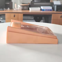 Modèle de formation avancé de haute qualité sur dispositif intra-utérin contraceptif (DISC) pour femmes, en PVC, pour les écoles d'enseignement médical