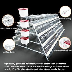 Équipement agricole Cage à poulets en acier galvanisé Poulailler pour poules pondeuses Cage à poulets mobiles Cage à coqs avec <span class=keywords><strong>mangeoire</strong></span> à poulets - Product Image 4