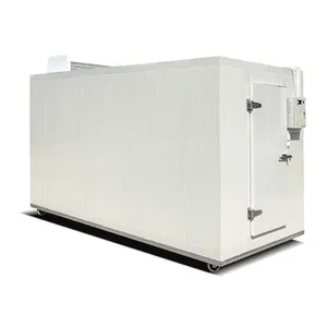 <span class=keywords><strong>Conteneur</strong></span> Réfrigéré d'<span class=keywords><strong>Occasion</strong></span> 20FT 40FT à Vendre – Qualité Allemande, Plusieurs Couleurs Disponibles - Product Image 3
