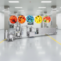 Haitel volautomatische snoepgoedproductielijn voor gummy snoepjes