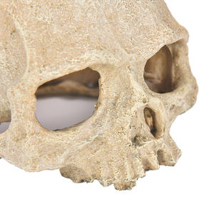 อุปกรณ์ตกแต่งตู้<span class=keywords><strong>ปลา</strong></span>ตู้ปลาลายแมงป่องแมงมุมงูงูหลามโครงกระดูกการปรับปรุงพันธุ์บ้านที่พักพิง - Product Image 6