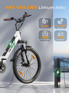 VARUN-Bicicleta Eléctrica de Ciudad con Motor de 250W, Batería de Litio de 26 Pulgadas, 48V, 10,4 AH, 7 Velocidades, Venta Al por Mayor - Product Image 4
