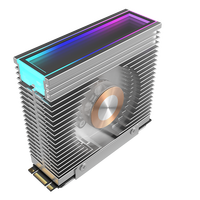 Dissipateur thermique en aluminium pour PC, accessoires pour SSD NVMe M.2, refroidisseur RGB