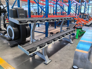 Oem dịch vụ Thương mại bán buôn thiết bị tập thể dục thể hình thép mạ kẽm quả tạ giá HAI TẦNG cho tập luyện - Product Image 4