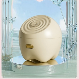 Home Use Facial <b>Steamer</b> Machine Portable Facial <b>Steamer</b> for At-Home Beauty Care - Product Image 2
