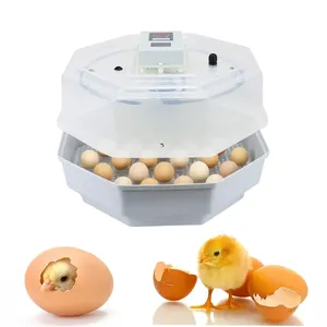 JN2-60 incubadoras de huevos, huevos para incubar, Incubadora de pollo