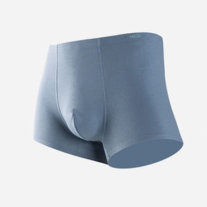 पुरुषों के बॉक्सर ब्रिश कस्टम लोगो शब्द 'जैक्वार्ड लोचदार पुरुष मुक्केबाज - Product Image 4