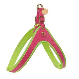 <span class=keywords><strong>Harness</strong></span> Anjing Kulit Asli Mewah dengan Gesper Lepas Cepat-Bahan Bernapas Tahan Lama Dapat Disesuaikan Berbantalan-Gaya Sport & Klasik - Product Image 2