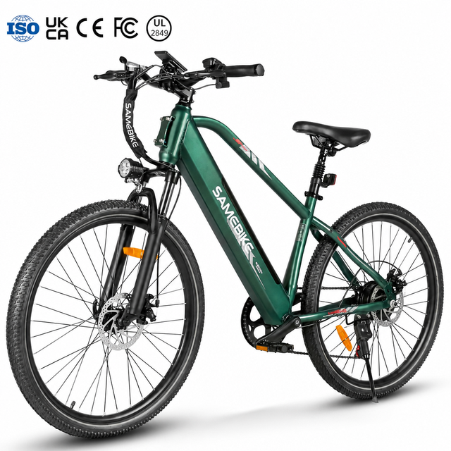OEM Popular Elektrofahrrad Electric City Bike Lithium Battery Brushless Rear Hub Motor High-Popular Electric Mountain Bike