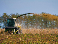 Moissonneuse-batteuse agricole AF88G 90 CV sur chenilles, efficace et à alimentation complète pour la récolte en ferme