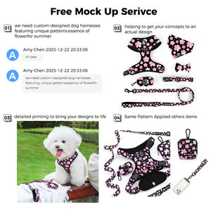 Conjunto de Arnés de Neopreno Personalizado para Perro, Correa de Lujo, Collar y Bolsa para Excrementos para Bulldog Francés, MOQ Bajo, Fabricante OEM ODM - Product Image 5